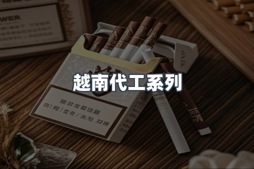 越南代工系列